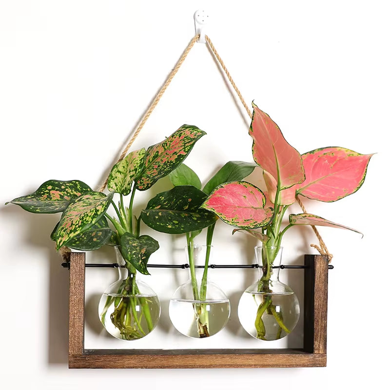 Vintage Propagation Station Glass Hydroponic Air Planter Bulb Terrarium Vase with Wooden Home Garden Office Decoration